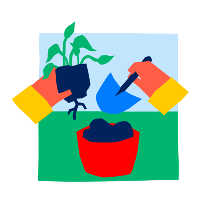 Potting Plant