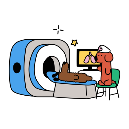 MRI Scan Procedure
