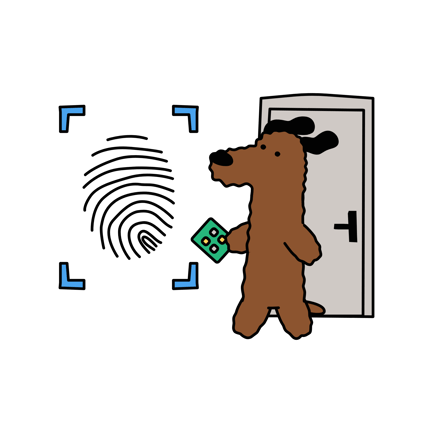 Biometric Authentication