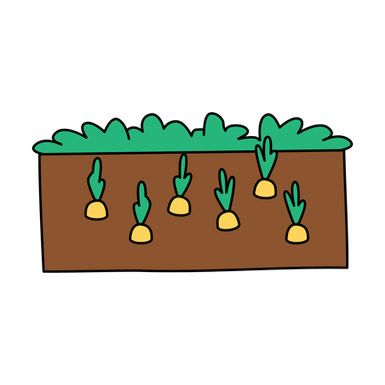 Seedbed Tray