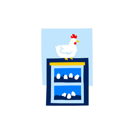 Egg Storage