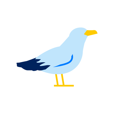 Seagull