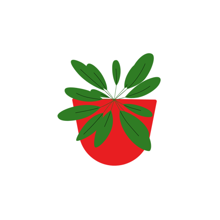 Potted Plant