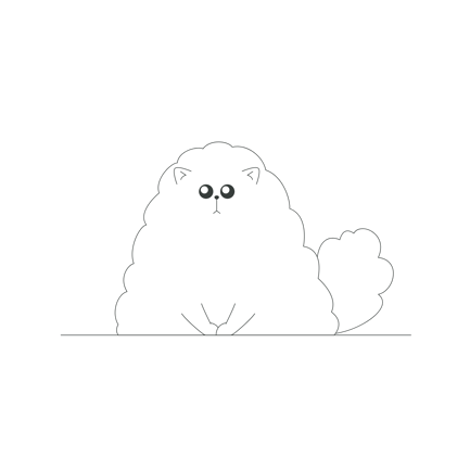 Fluffy Cat
