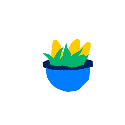 Corn Plant