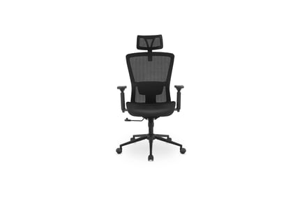 Preview: Ergonomic High-Back Mesh Office Chair 3D Model