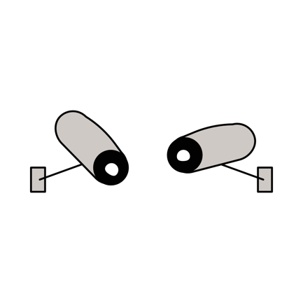 Surveillance Cameras
