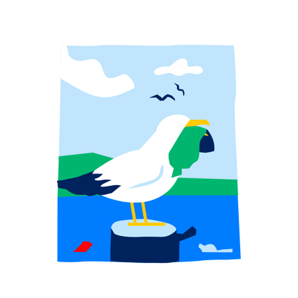 Plastic Pollution