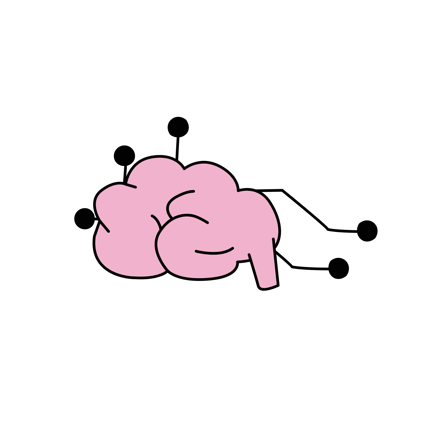 Neural Network
