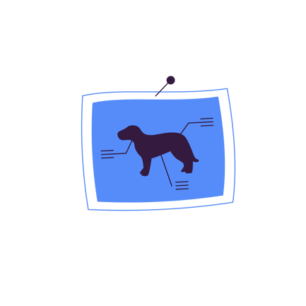 Dog Anatomy