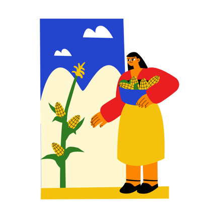Corn Harvest