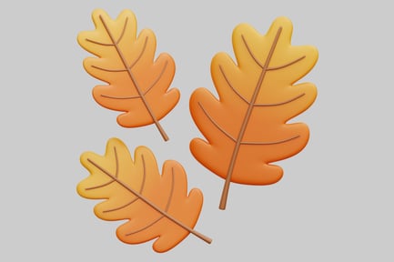 Preview: 3D Autumn Oak Leaves Set
