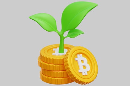 Preview: Bitcoin Investment And Growth Concept