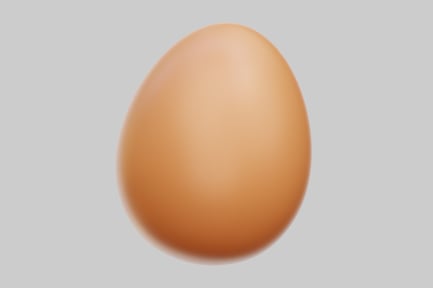Preview: Organic Brown Chicken Egg