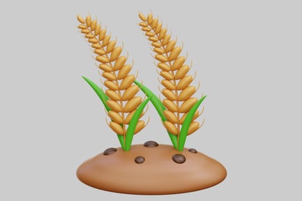Preview: Golden Wheat Stalks Growing In Soil