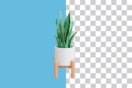 Preview: Snake Plant