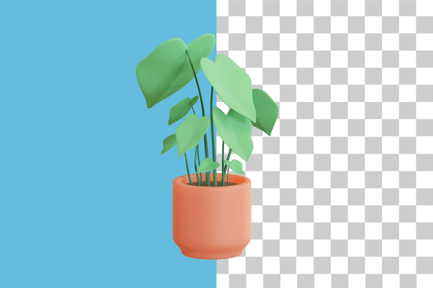 Preview: Philodendron