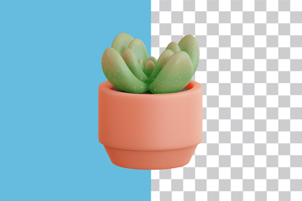 Preview: Succulent