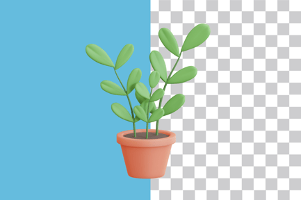 Preview: ZZ Plant