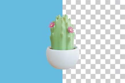 Preview: Cactus Flower