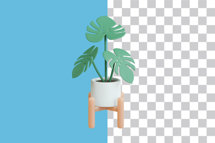 Preview: Monstera