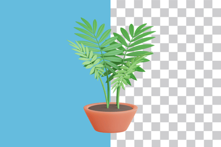 Preview: Parlor Palm