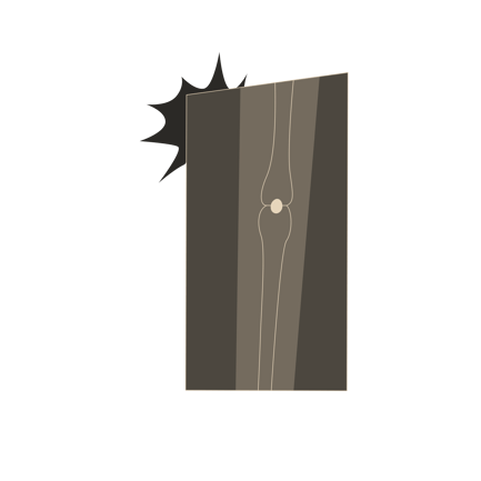 Knie-Röntgen