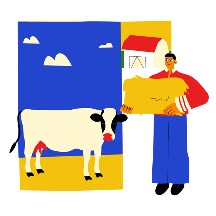 Hay Feeding
