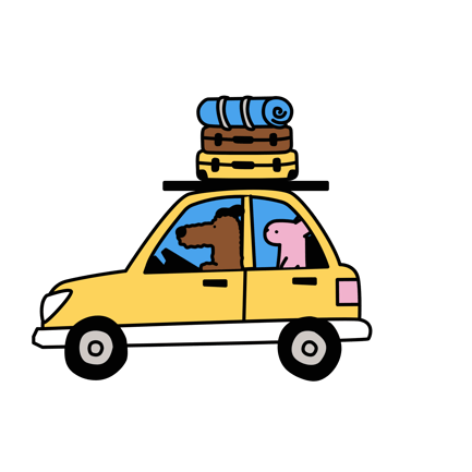 Travel Car
