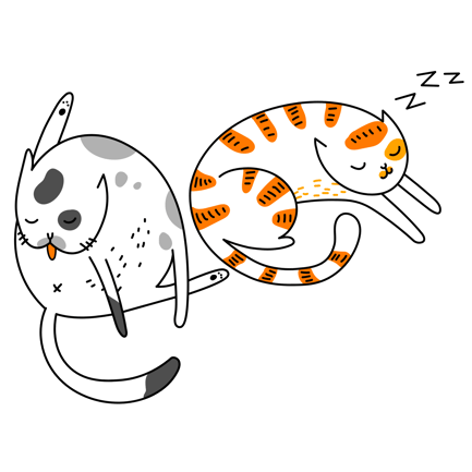 Cat Cleaning Itself Next to Sleeping Cat