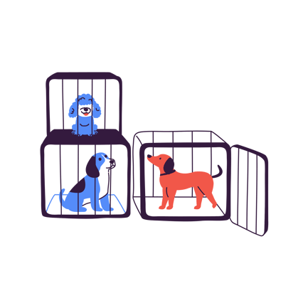 Pets in Cages