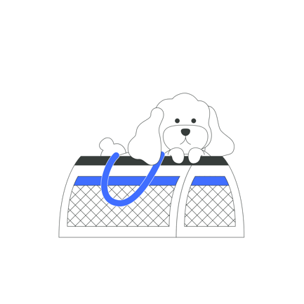 Dog Carrier Bag