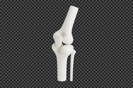 Preview: Knee Bones