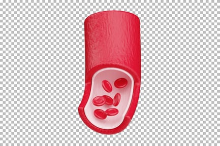 Preview: Blood Vessel