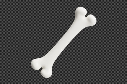 Knochen
