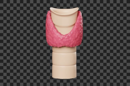 Preview: Thyroid