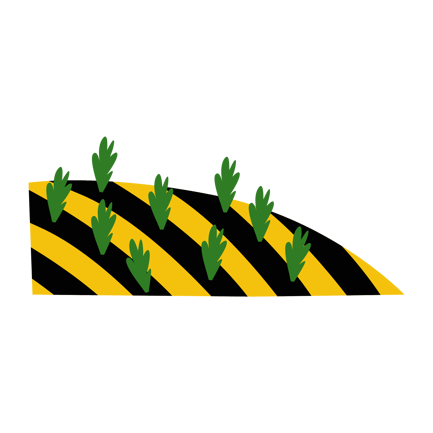 Seedbed Tray
