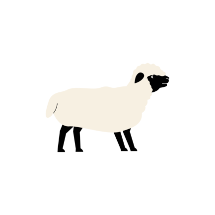 Angebot von Eid-Schafen