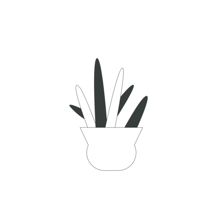 Potted Plant Arrangement