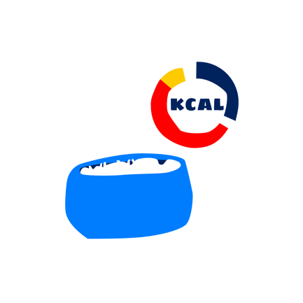 Calorie Counter