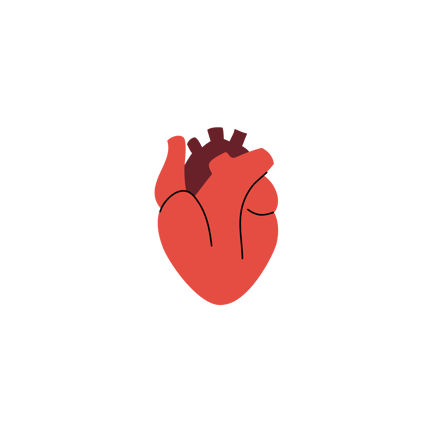 Heart