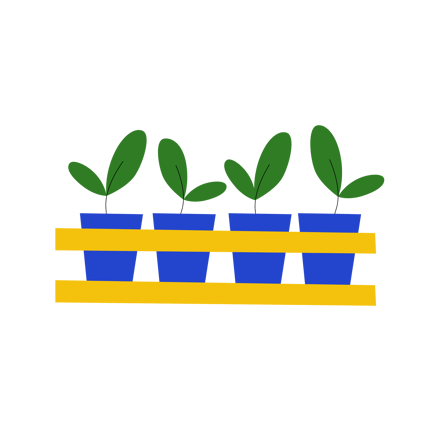 Indoor Plants