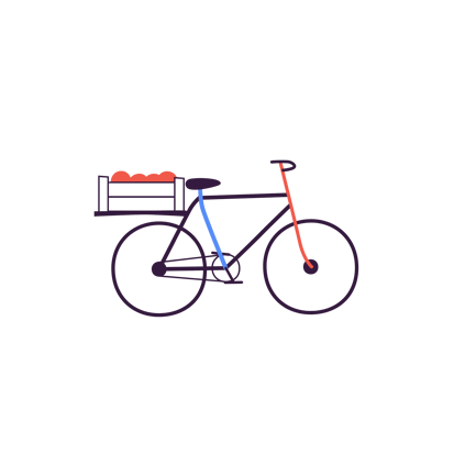 Grocery Bike