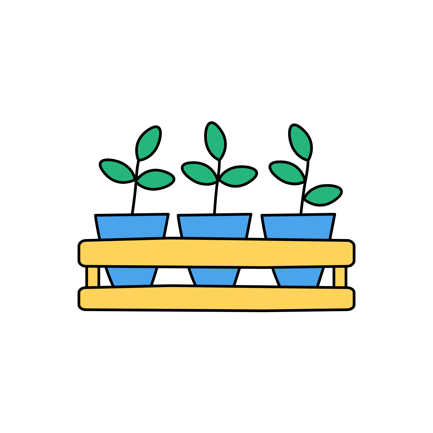 Indoor Plants