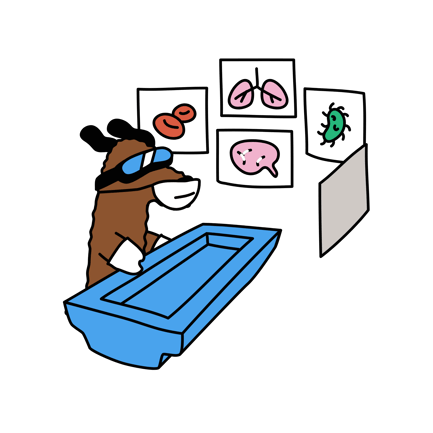 Virtual Healthcare