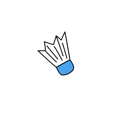 Badminton Shuttlecock