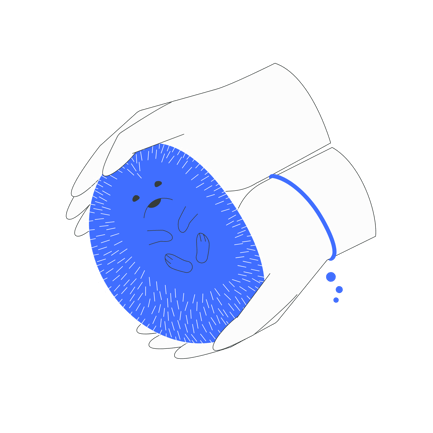 Cute Hedgehog Illustration