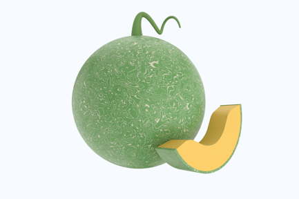 Preview: Melon 3D Illustration