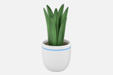 Preview: Desk Plant 3D Illustration