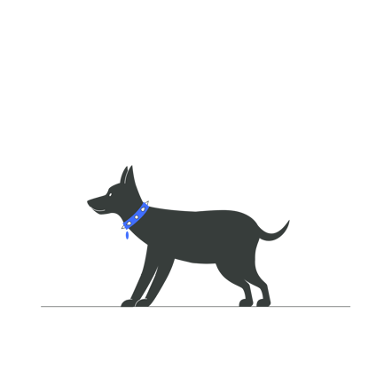 Frau interagiert mit Hund